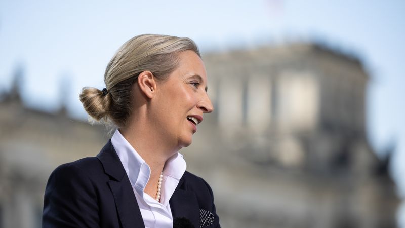 Alice Weidel Ohrprothese