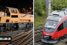 zug entgleist herzberg