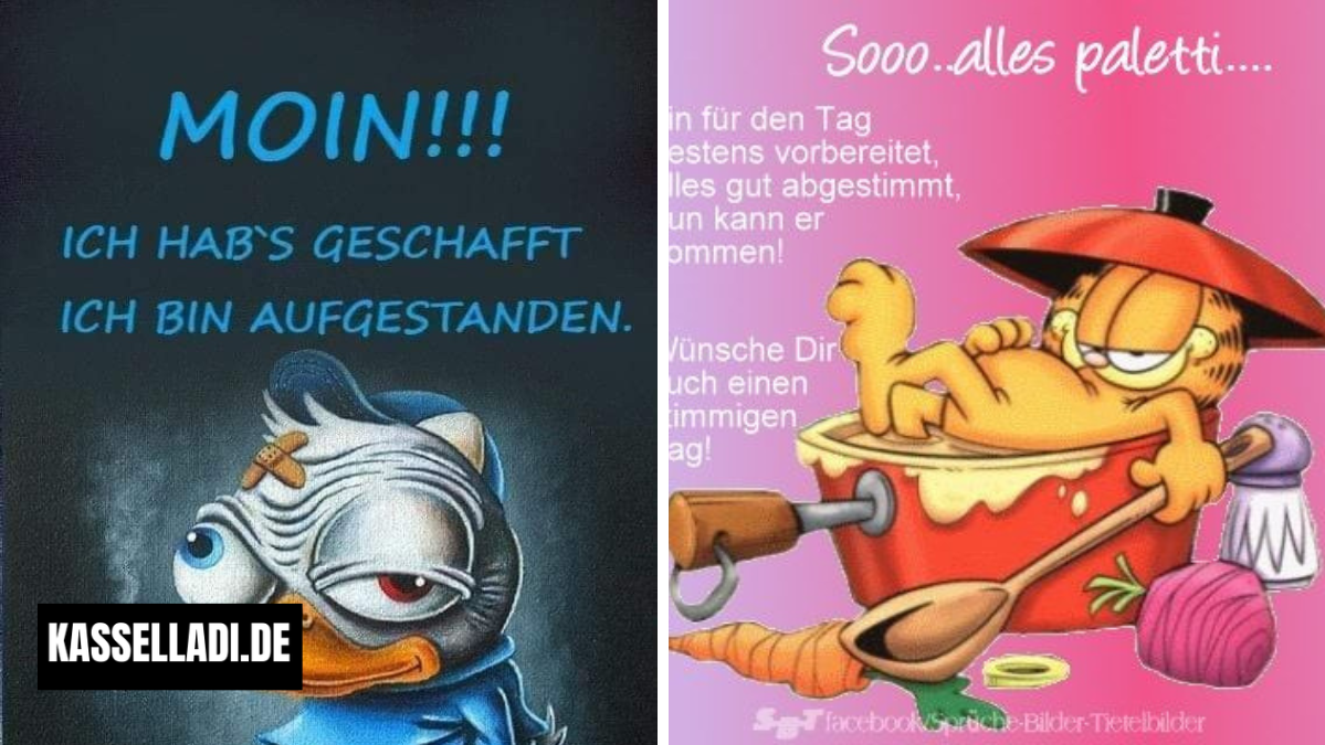 witzig frech guten morgen lustig