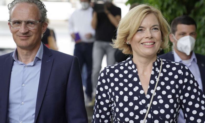 julia klöckner kinderwunsch